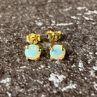 Gold plated Silver 5mm claw set White Opal studs - Masterpiece Jewellery Opal & Gems Sydney Australia | Online Shop